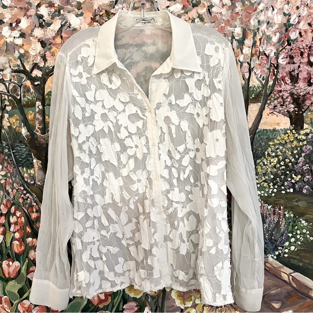 Beautiful Sheer Blouse • Size XL
